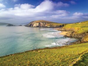 What's Going On at the Dingle Hub