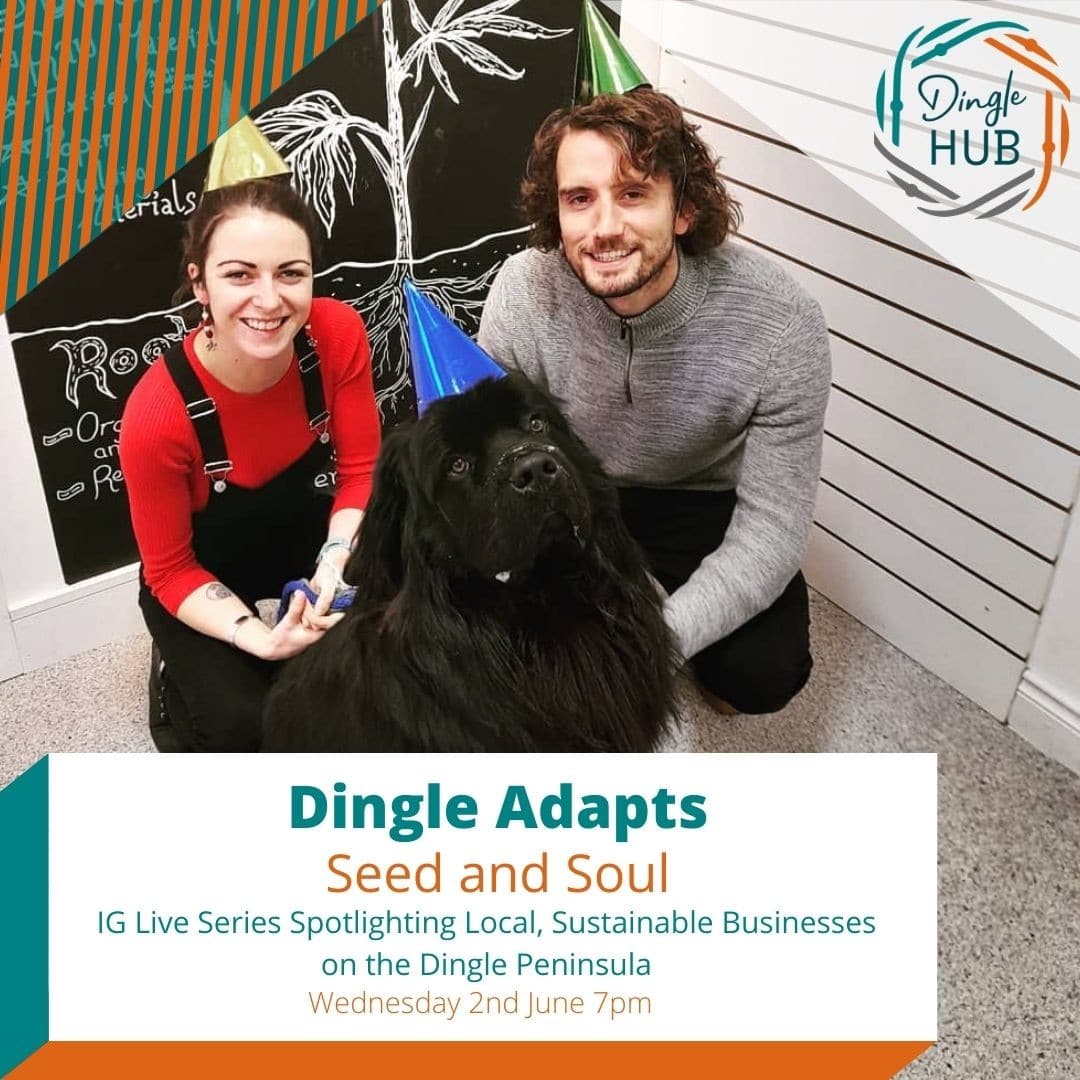 Read more about the article Dingle Hub Update 27 May