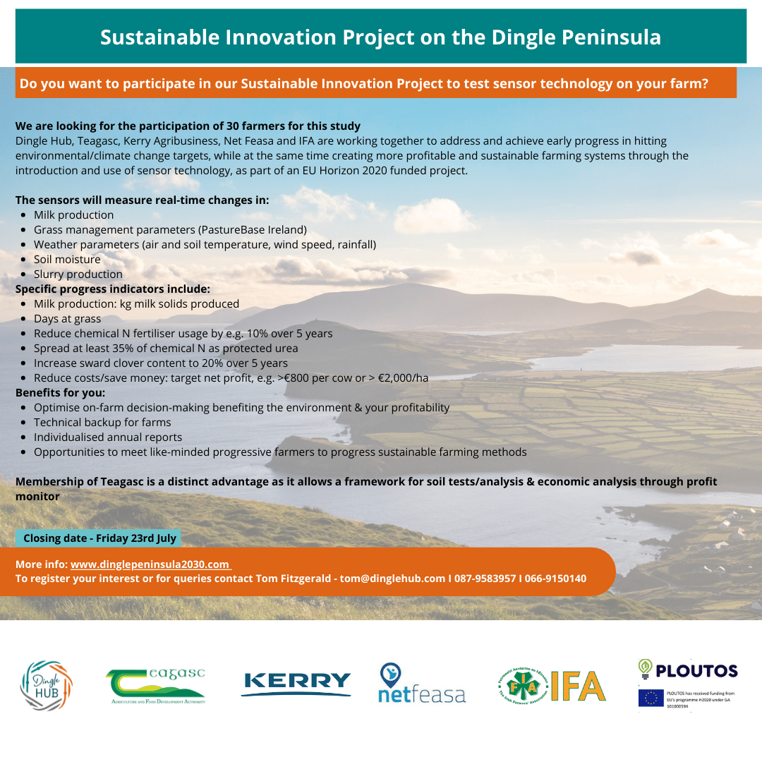 Read more about the article Sustainable Innovation Project on the Dingle Peninsula