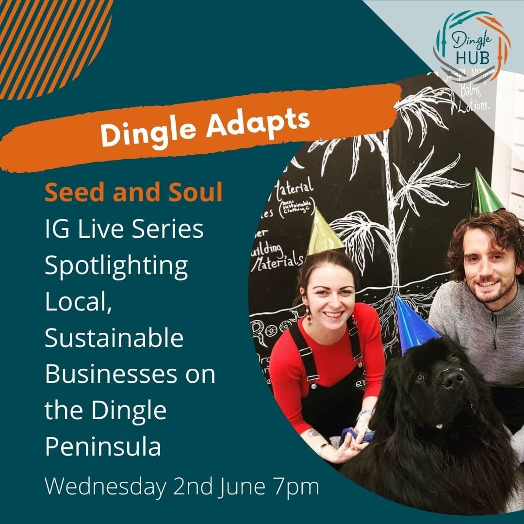 Read more about the article Dingle Hub Update 10 June