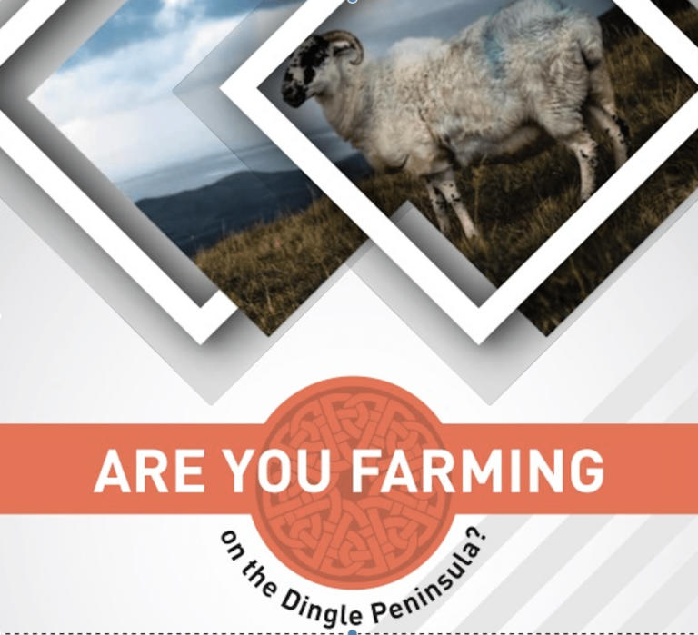 Read more about the article Farmers wanted for Creative Climate Action
