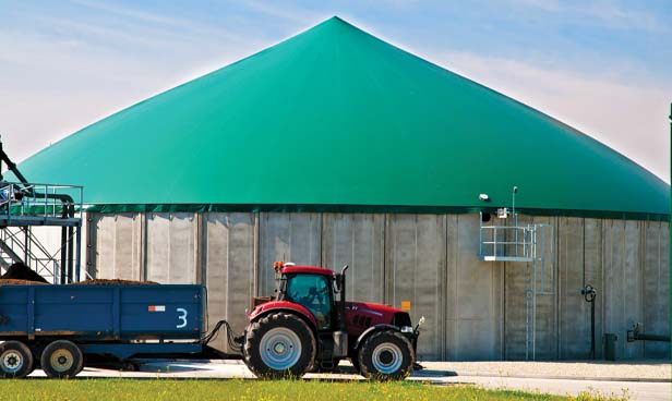 anaerobic digestion