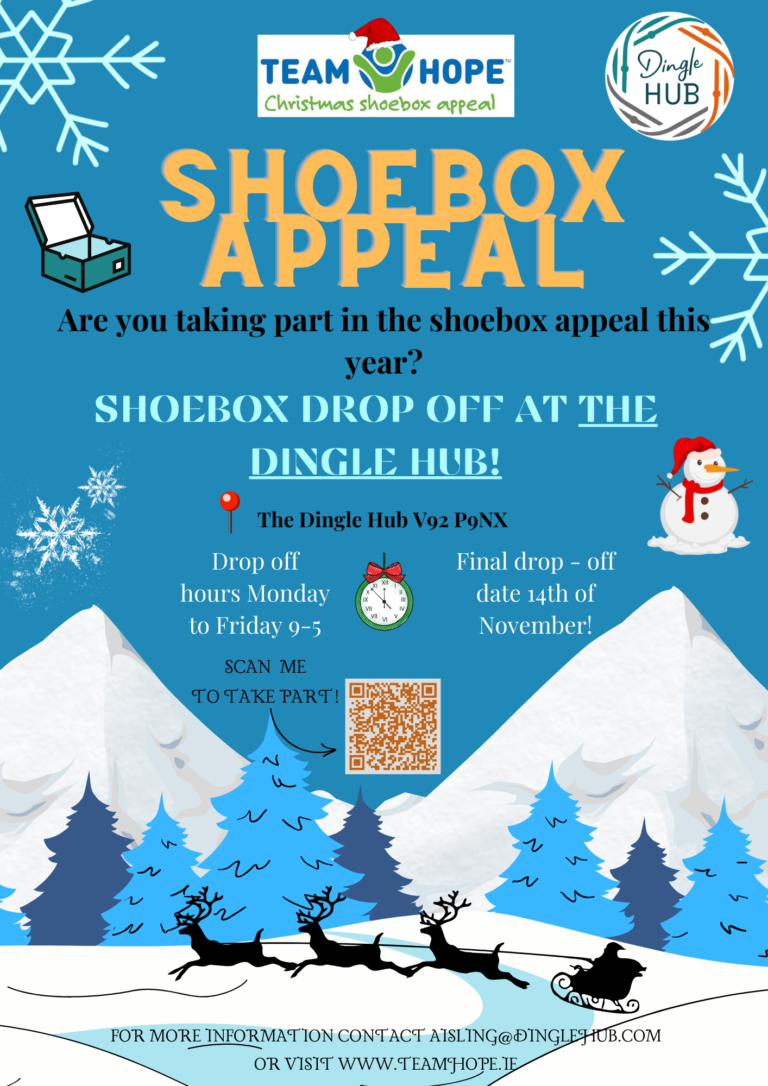 Dingle Hub Shoebox appeal poster
