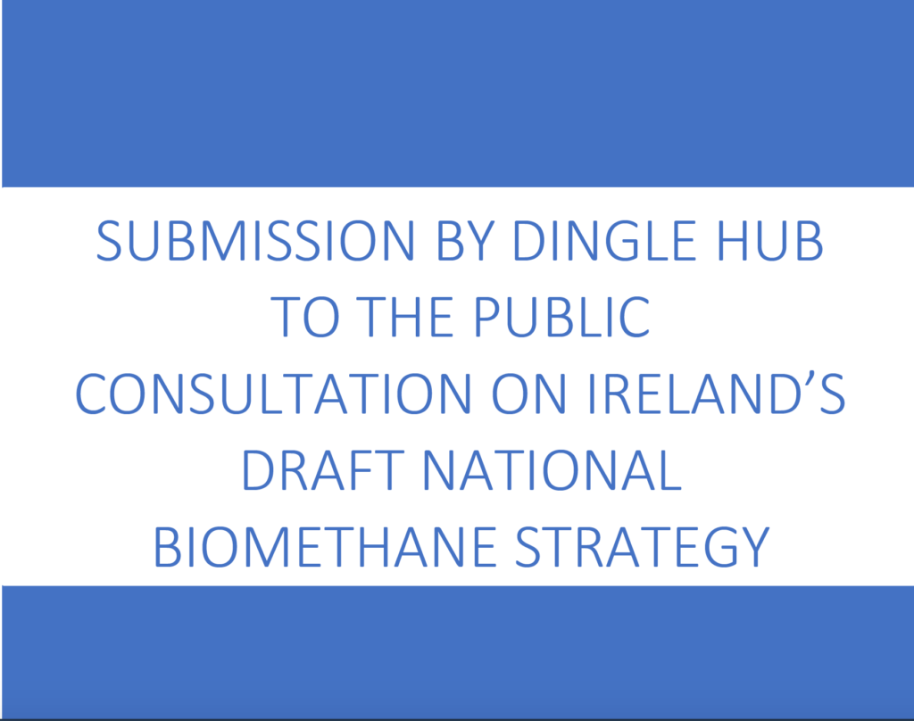 Screen shot of cover of biomethane submission